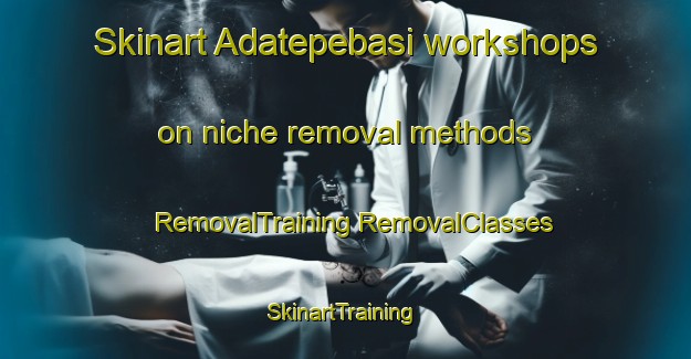 Skinart Adatepebasi workshops on niche removal methods | #RemovalTraining #RemovalClasses #SkinartTraining-Turkey