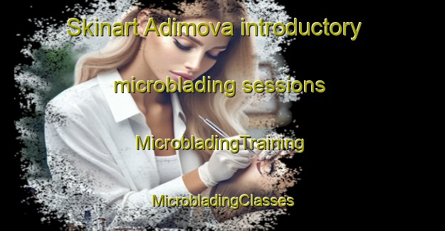 Skinart Adimova introductory microblading sessions | #MicrobladingTraining #MicrobladingClasses #SkinartTraining-Turkey