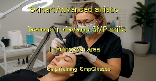 Skinart Advanced artistic lessons in develop SMP skills in Pirinceken area | SmpTraining | SmpClasses | SkinartTraining-Turkey