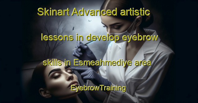 Skinart Advanced artistic lessons in develop eyebrow skills in Esmeahmediye area | EyebrowTraining | EyebrowClasses | SkinartTraining-Turkey