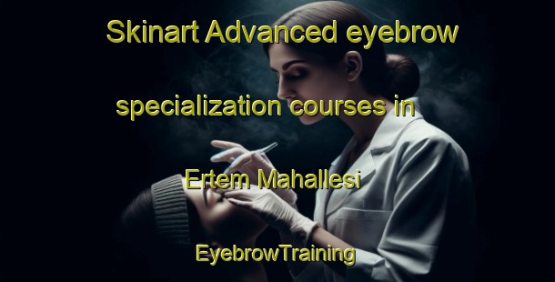 Skinart Advanced eyebrow specialization courses in Ertem Mahallesi | EyebrowTraining | EyebrowClasses | SkinartTraining-Turkey