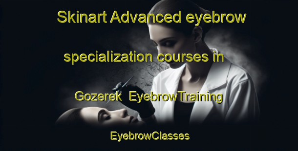 Skinart Advanced eyebrow specialization courses in Gozerek | EyebrowTraining | EyebrowClasses | SkinartTraining-Turkey