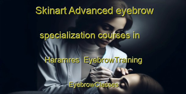 Skinart Advanced eyebrow specialization courses in Haramres | EyebrowTraining | EyebrowClasses | SkinartTraining-Turkey