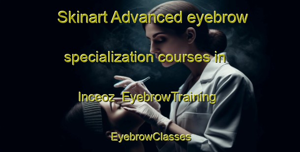 Skinart Advanced eyebrow specialization courses in Inceoz | EyebrowTraining | EyebrowClasses | SkinartTraining-Turkey