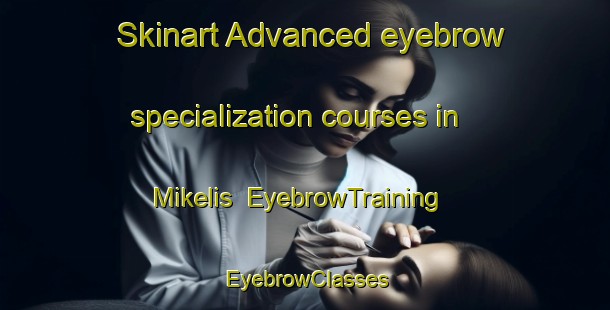 Skinart Advanced eyebrow specialization courses in Mikelis | EyebrowTraining | EyebrowClasses | SkinartTraining-Turkey