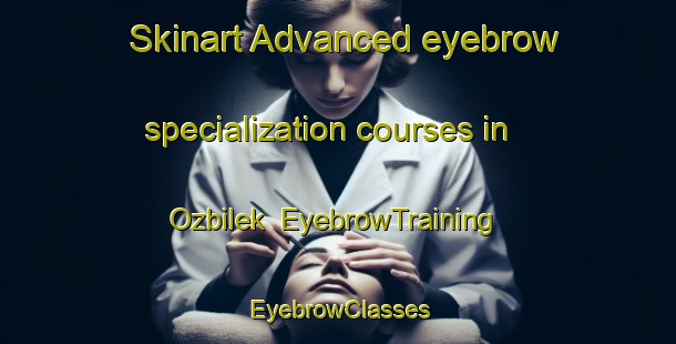 Skinart Advanced eyebrow specialization courses in Ozbilek | EyebrowTraining | EyebrowClasses | SkinartTraining-Turkey