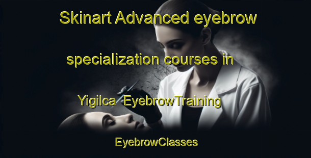 Skinart Advanced eyebrow specialization courses in Yigilca | EyebrowTraining | EyebrowClasses | SkinartTraining-Turkey