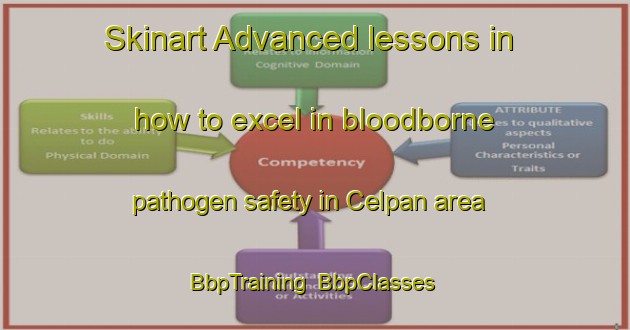 Skinart Advanced lessons in how to excel in bloodborne pathogen safety in Celpan area | BbpTraining | BbpClasses | SkinartTraining-Turkey