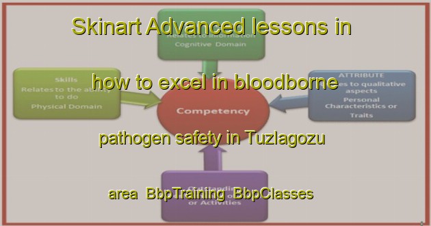 Skinart Advanced lessons in how to excel in bloodborne pathogen safety in Tuzlagozu area | BbpTraining | BbpClasses | SkinartTraining-Turkey