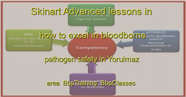 Skinart Advanced lessons in how to excel in bloodborne pathogen safety in Yorulmaz area | BbpTraining | BbpClasses | SkinartTraining-Turkey
