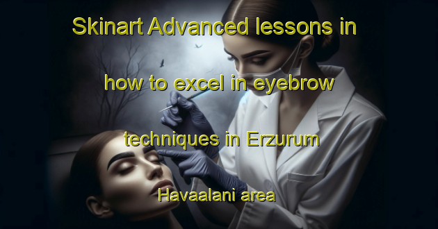 Skinart Advanced lessons in how to excel in eyebrow techniques in Erzurum Havaalani area | EyebrowTraining | EyebrowClasses | SkinartTraining-Turkey