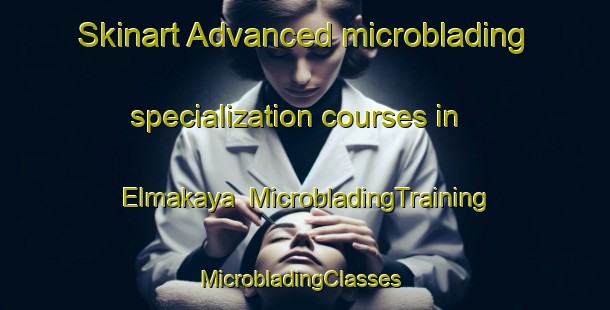 Skinart Advanced microblading specialization courses in Elmakaya | MicrobladingTraining | MicrobladingClasses | SkinartTraining-Turkey