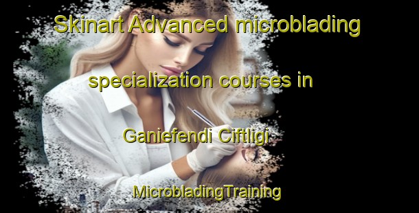 Skinart Advanced microblading specialization courses in Ganiefendi Ciftligi | #MicrobladingTraining #MicrobladingClasses #SkinartTraining-Turkey