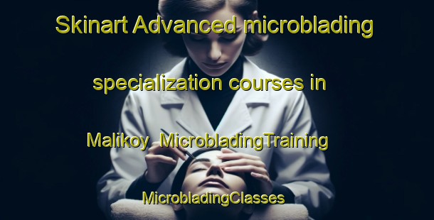 Skinart Advanced microblading specialization courses in Malikoy | MicrobladingTraining | MicrobladingClasses | SkinartTraining-Turkey