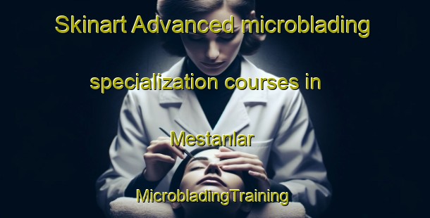 Skinart Advanced microblading specialization courses in Mestanlar | #MicrobladingTraining #MicrobladingClasses #SkinartTraining-Turkey