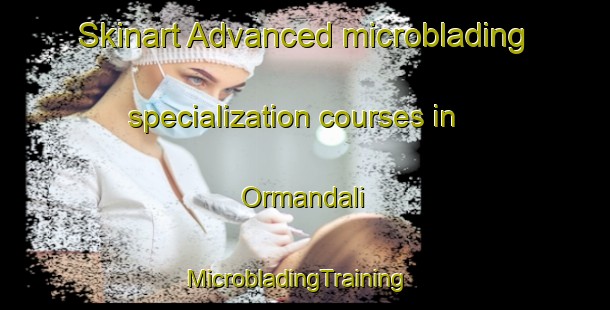 Skinart Advanced microblading specialization courses in Ormandali | MicrobladingTraining | MicrobladingClasses | SkinartTraining-Turkey