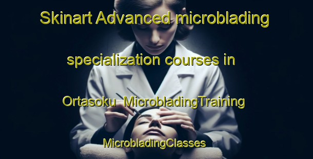 Skinart Advanced microblading specialization courses in Ortasoku | MicrobladingTraining | MicrobladingClasses | SkinartTraining-Turkey