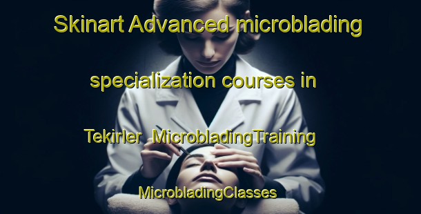 Skinart Advanced microblading specialization courses in Tekirler | MicrobladingTraining | MicrobladingClasses | SkinartTraining-Turkey