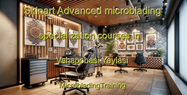 Skinart Advanced microblading specialization courses in Vahapobasi Yaylasi | #MicrobladingTraining #MicrobladingClasses #SkinartTraining-Turkey