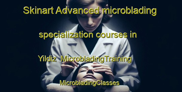 Skinart Advanced microblading specialization courses in Yildiz | MicrobladingTraining | MicrobladingClasses | SkinartTraining-Turkey