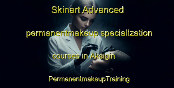 Skinart Advanced permanentmakeup specialization courses in Aksigin | PermanentmakeupTraining | PermanentmakeupClasses | SkinartTraining-Turkey