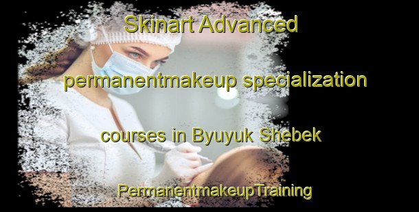 Skinart Advanced permanentmakeup specialization courses in Byuyuk Shebek | PermanentmakeupTraining | PermanentmakeupClasses | SkinartTraining-Turkey