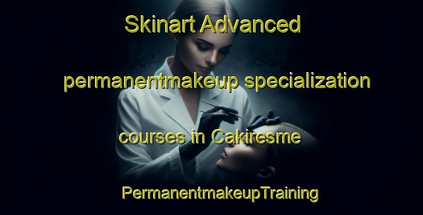 Skinart Advanced permanentmakeup specialization courses in Cakiresme | #PermanentmakeupTraining #PermanentmakeupClasses #SkinartTraining-Turkey