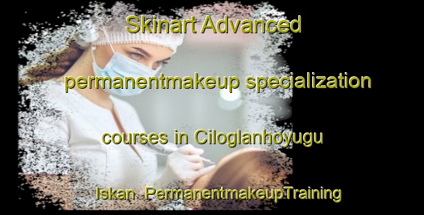 Skinart Advanced permanentmakeup specialization courses in Ciloglanhoyugu Iskan | #PermanentmakeupTraining #PermanentmakeupClasses #SkinartTraining-Turkey