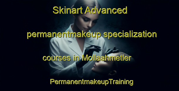 Skinart Advanced permanentmakeup specialization courses in Mollaahmetler | PermanentmakeupTraining | PermanentmakeupClasses | SkinartTraining-Turkey
