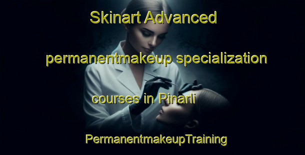 Skinart Advanced permanentmakeup specialization courses in Pinarli | PermanentmakeupTraining | PermanentmakeupClasses | SkinartTraining-Turkey