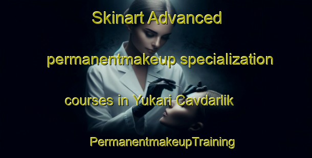 Skinart Advanced permanentmakeup specialization courses in Yukari Cavdarlik | #PermanentmakeupTraining #PermanentmakeupClasses #SkinartTraining-Turkey