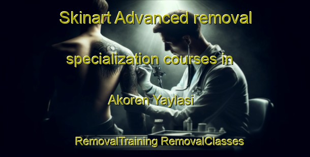 Skinart Advanced removal specialization courses in Akoren Yaylasi | #RemovalTraining #RemovalClasses #SkinartTraining-Turkey