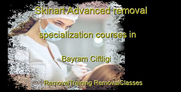 Skinart Advanced removal specialization courses in Bayram Ciftligi | #RemovalTraining #RemovalClasses #SkinartTraining-Turkey