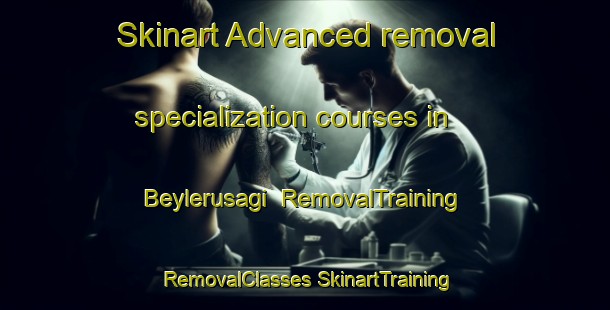 Skinart Advanced removal specialization courses in Beylerusagi | #RemovalTraining #RemovalClasses #SkinartTraining-Turkey