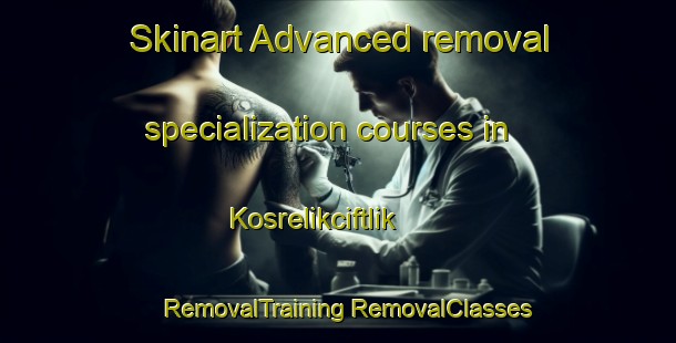 Skinart Advanced removal specialization courses in Kosrelikciftlik | #RemovalTraining #RemovalClasses #SkinartTraining-Turkey