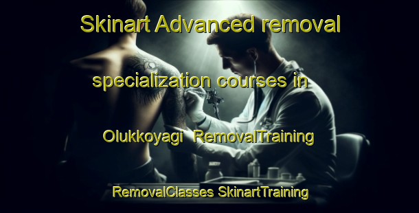 Skinart Advanced removal specialization courses in Olukkoyagi | #RemovalTraining #RemovalClasses #SkinartTraining-Turkey