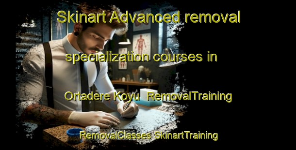 Skinart Advanced removal specialization courses in Ortadere Koyu | #RemovalTraining #RemovalClasses #SkinartTraining-Turkey