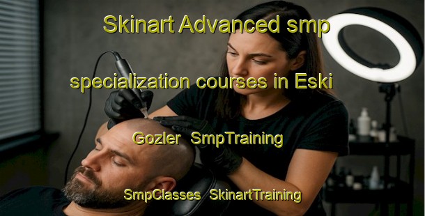 Skinart Advanced smp specialization courses in Eski Gozler | SmpTraining | SmpClasses | SkinartTraining-Turkey