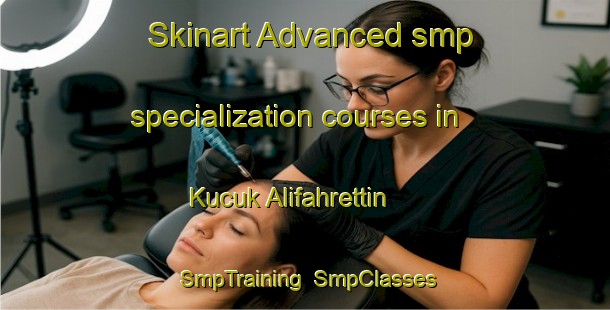 Skinart Advanced smp specialization courses in Kucuk Alifahrettin | SmpTraining | SmpClasses | SkinartTraining-Turkey