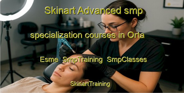 Skinart Advanced smp specialization courses in Orta Esme | SmpTraining | SmpClasses | SkinartTraining-Turkey