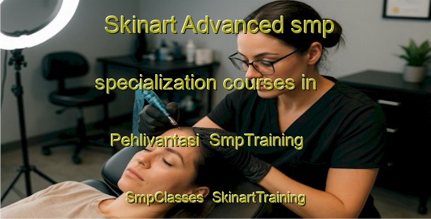 Skinart Advanced smp specialization courses in Pehlivantasi | SmpTraining | SmpClasses | SkinartTraining-Turkey