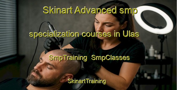 Skinart Advanced smp specialization courses in Ulas | SmpTraining | SmpClasses | SkinartTraining-Turkey