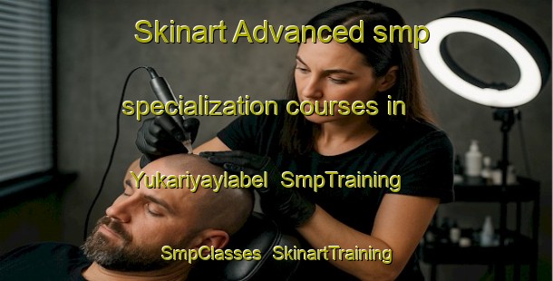 Skinart Advanced smp specialization courses in Yukariyaylabel | SmpTraining | SmpClasses | SkinartTraining-Turkey