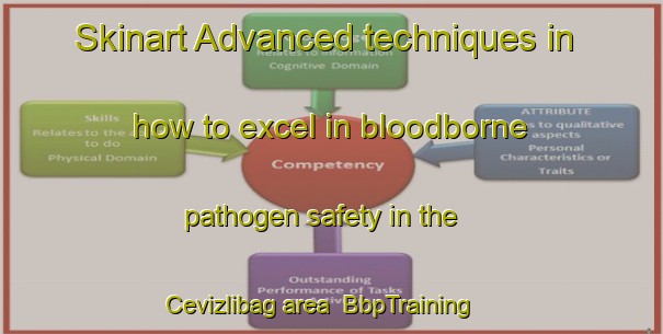 Skinart Advanced techniques in how to excel in bloodborne pathogen safety in the Cevizlibag area | BbpTraining | BbpClasses | SkinartTraining-Turkey