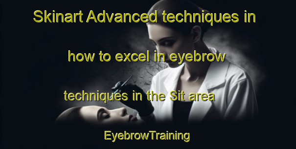Skinart Advanced techniques in how to excel in eyebrow techniques in the Sit area | EyebrowTraining | EyebrowClasses | SkinartTraining-Turkey