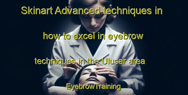 Skinart Advanced techniques in how to excel in eyebrow techniques in the Ulusar area | EyebrowTraining | EyebrowClasses | SkinartTraining-Turkey