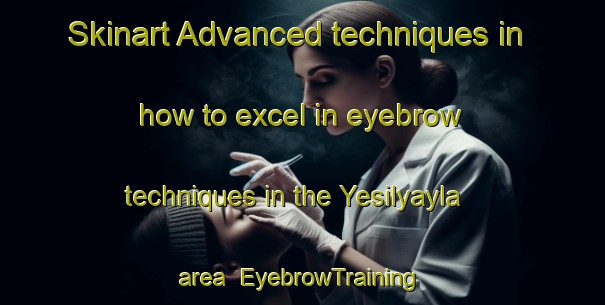 Skinart Advanced techniques in how to excel in eyebrow techniques in the Yesilyayla area | EyebrowTraining | EyebrowClasses | SkinartTraining-Turkey