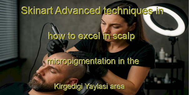 Skinart Advanced techniques in how to excel in scalp micropigmentation in the Kirgedigi Yaylasi area | SmpTraining | SmpClasses | SkinartTraining-Turkey