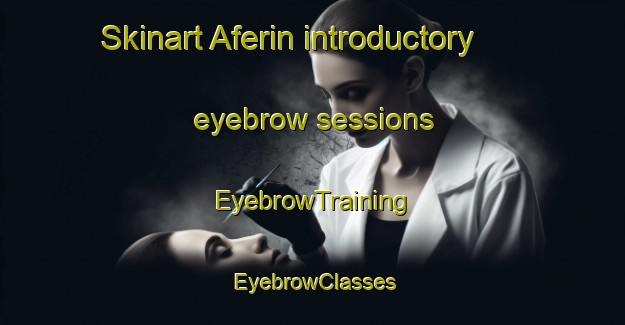 Skinart Aferin introductory eyebrow sessions | EyebrowTraining | EyebrowClasses | SkinartTraining-Turkey