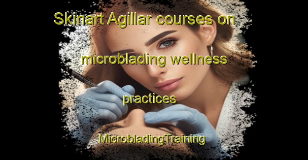 Skinart Agillar courses on microblading wellness practices | #MicrobladingTraining #MicrobladingClasses #SkinartTraining-Turkey